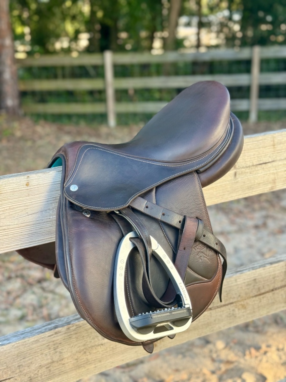 Voltaire Palm Beach Saddle